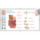 Vit'i5 Ration Mixte Comprimés