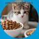 Coaching croissance pour un chaton