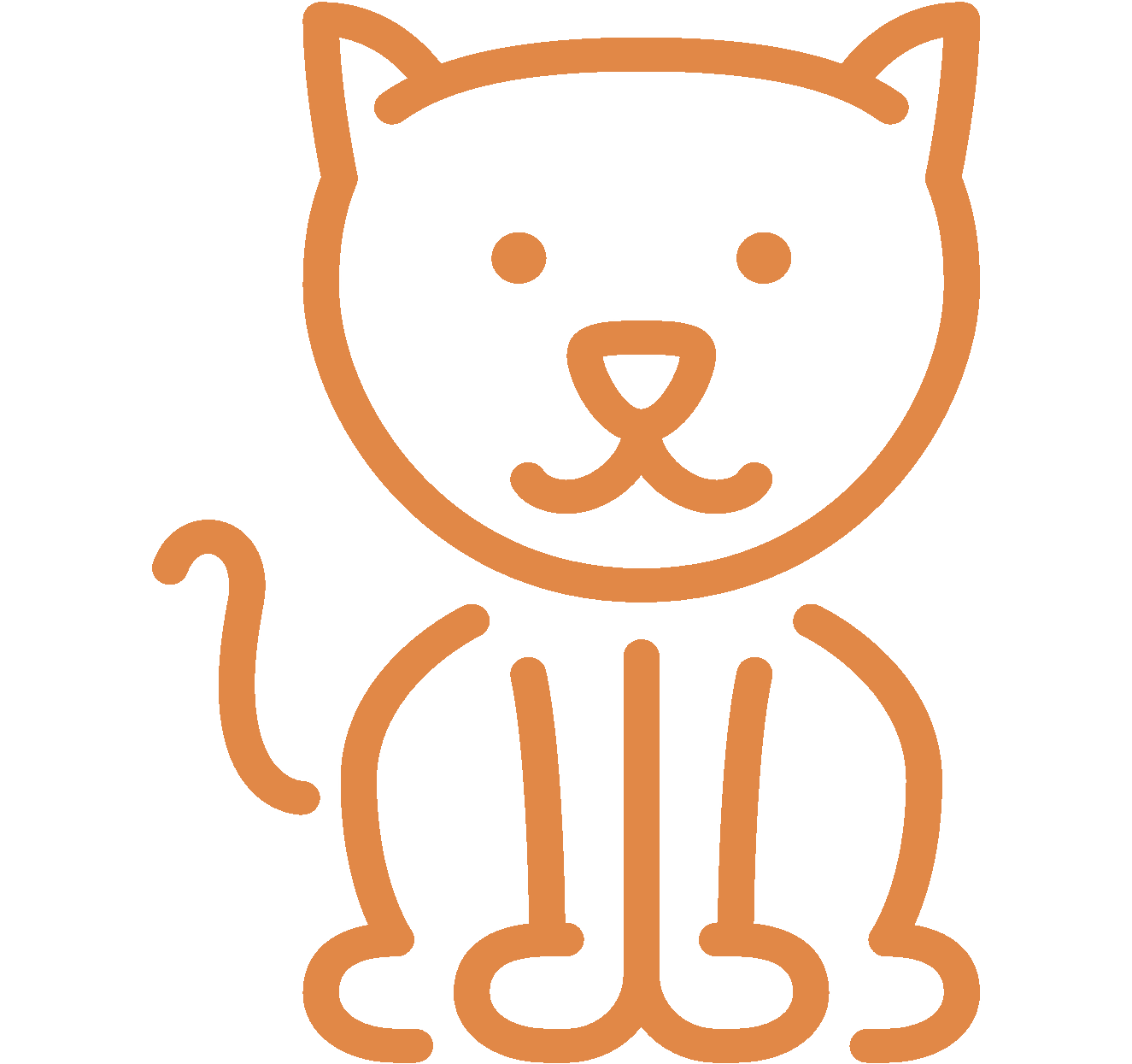 recette sur mesure pour un chat.jpg