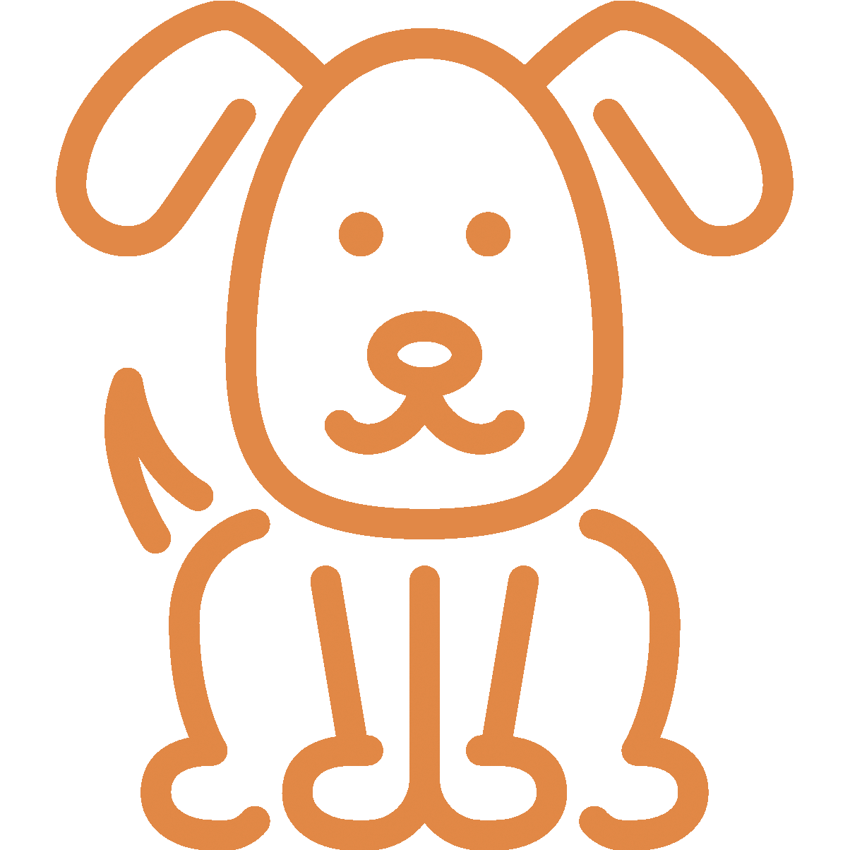 recette sur mesure pour un chien