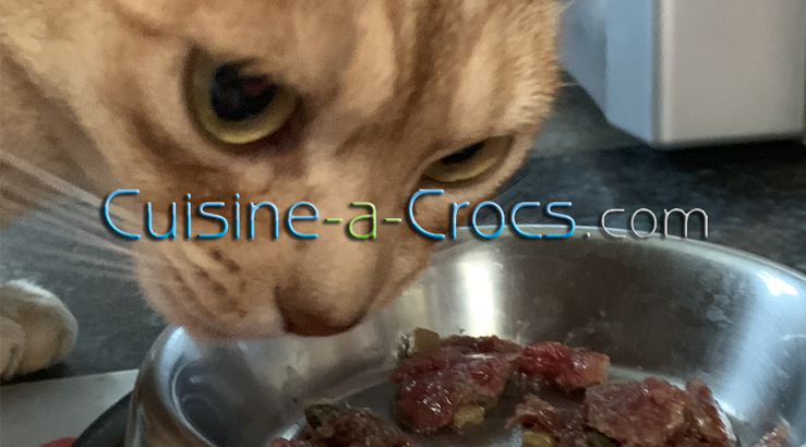 recette pour chat cuisine-a-crocs
