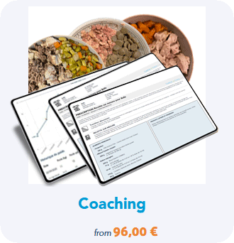 coaching by cuisine-a-crocs