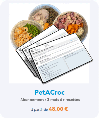 Abonnement Petacroc: 3 mois de recettes sur mesure